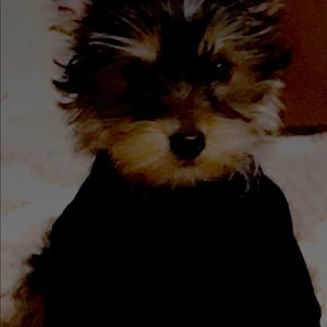 Meet your Posher, Angelica